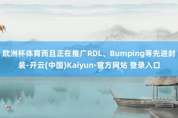 欧洲杯体育而且正在推广RDL、Bumping等先进封装-开云(中国)Kaiyun·官方网站 登录入口