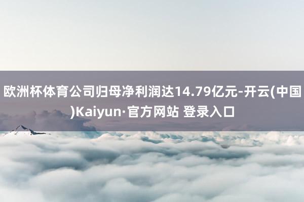 欧洲杯体育公司归母净利润达14.79亿元-开云(中国)Kaiyun·官方网站 登录入口