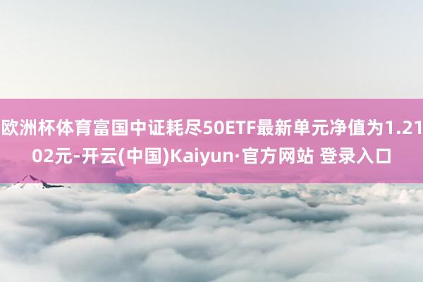 欧洲杯体育富国中证耗尽50ETF最新单元净值为1.2102元-开云(中国)Kaiyun·官方网站 登录入口