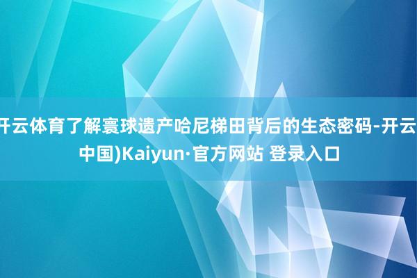 开云体育了解寰球遗产哈尼梯田背后的生态密码-开云(中国)Kaiyun·官方网站 登录入口