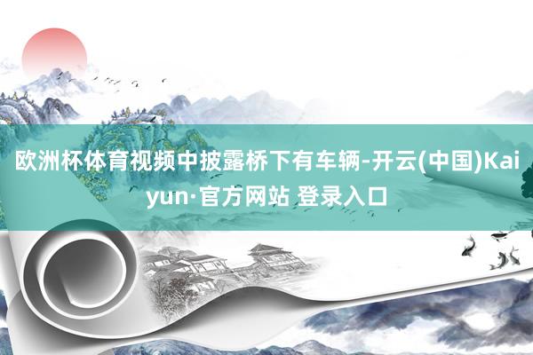 欧洲杯体育视频中披露桥下有车辆-开云(中国)Kaiyun·官方网站 登录入口