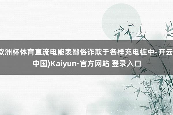 欧洲杯体育直流电能表鄙俗诈欺于各样充电桩中-开云(中国)Kaiyun·官方网站 登录入口