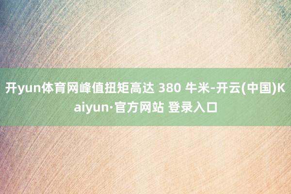 开yun体育网峰值扭矩高达 380 牛米-开云(中国)Kaiyun·官方网站 登录入口