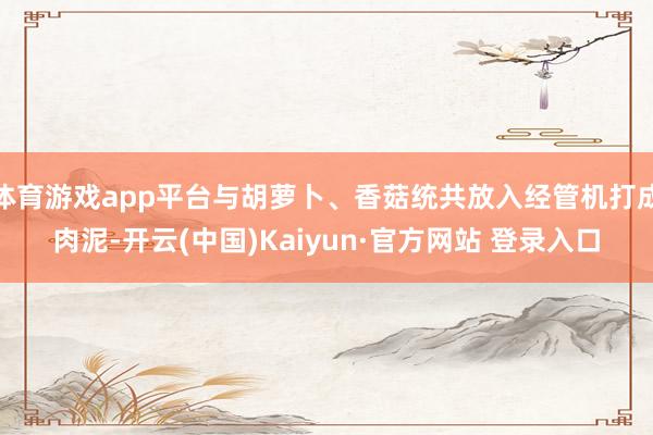 体育游戏app平台与胡萝卜、香菇统共放入经管机打成肉泥-开云(中国)Kaiyun·官方网站 登录入口