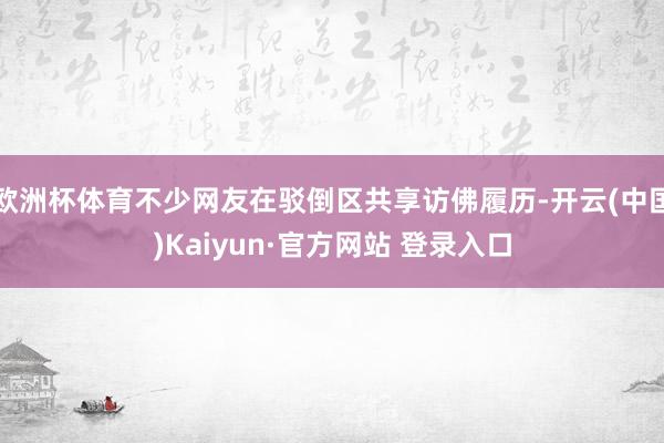 欧洲杯体育不少网友在驳倒区共享访佛履历-开云(中国)Kaiyun·官方网站 登录入口
