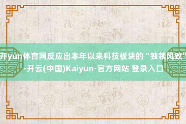 开yun体育网反应出本年以来科技板块的“独领风致”-开云(中国)Kaiyun·官方网站 登录入口