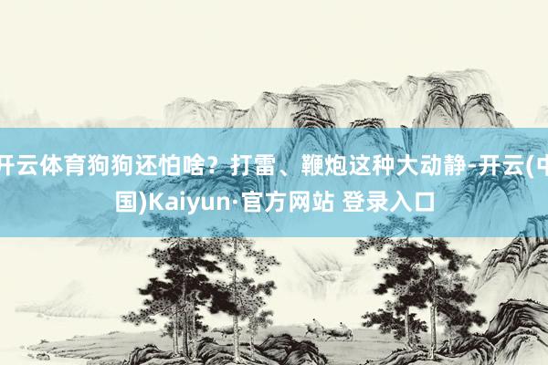 开云体育狗狗还怕啥？打雷、鞭炮这种大动静-开云(中国)Kaiyun·官方网站 登录入口