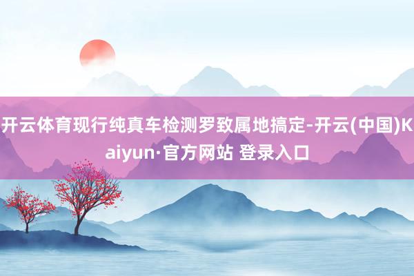 开云体育现行纯真车检测罗致属地搞定-开云(中国)Kaiyun·官方网站 登录入口