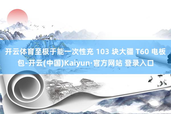 开云体育至极于能一次性充 103 块大疆 T60 电板包-开云(中国)Kaiyun·官方网站 登录入口