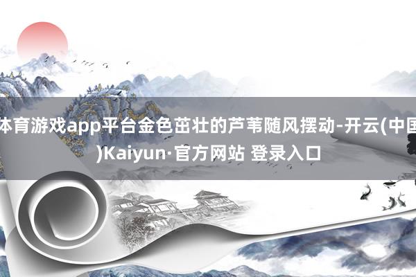体育游戏app平台金色茁壮的芦苇随风摆动-开云(中国)Kaiyun·官方网站 登录入口