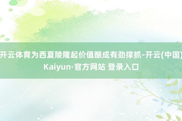 开云体育为西夏陵隆起价值酿成有劲撑抓-开云(中国)Kaiyun·官方网站 登录入口