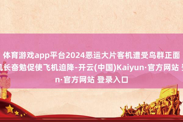 体育游戏app平台2024恶运大片客机遭受鸟群正面撞击，机长奋勉促使飞机迫降-开云(中国)Kaiyun·官方网站 登录入口