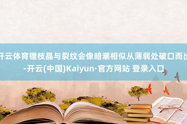 开云体育锂枝晶与裂纹会像暗潮相似从薄弱处破口而出-开云(中国)Kaiyun·官方网站 登录入口