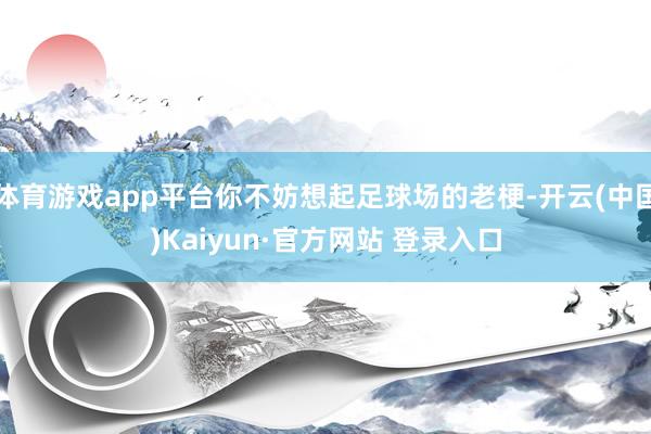 体育游戏app平台你不妨想起足球场的老梗-开云(中国)Kaiyun·官方网站 登录入口