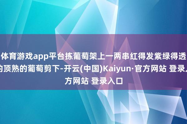 体育游戏app平台拣葡萄架上一两串红得发紫绿得透亮的顶熟的葡萄剪下-开云(中国)Kaiyun·官方网站 登录入口