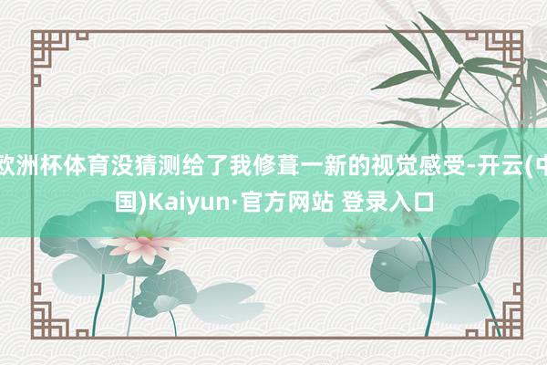 欧洲杯体育没猜测给了我修葺一新的视觉感受-开云(中国)Kaiyun·官方网站 登录入口