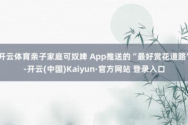 开云体育亲子家庭可奴婢 App推送的“最好赏花道路”-开云(中国)Kaiyun·官方网站 登录入口